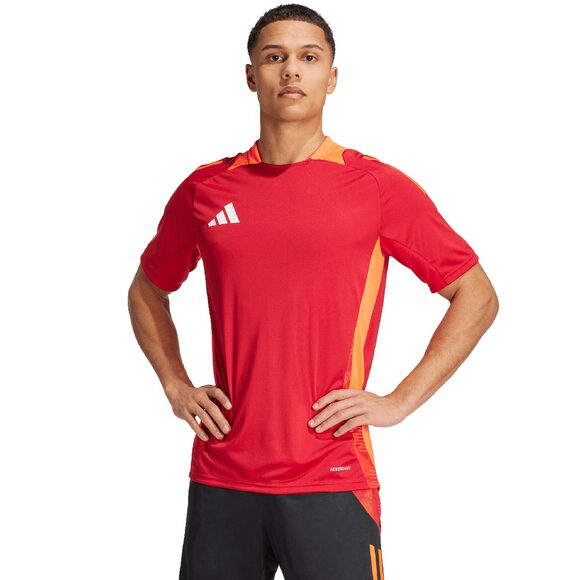 Spodenki męskie adidas Tiro 24 szare IS1408