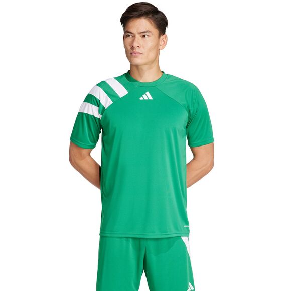 Spodenki męskie adidas Tiro 24 szare IS1408