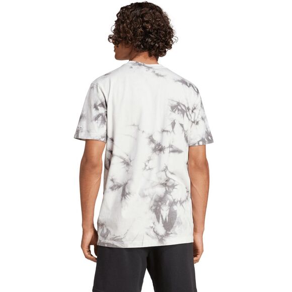 Koszulka męska adidas All Szn Wash Tee biało-szara IX1260