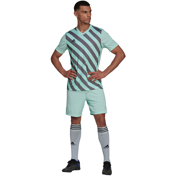 Koszulka męska adidas Entrada 22 Graphic Jersey miętowa HF0119