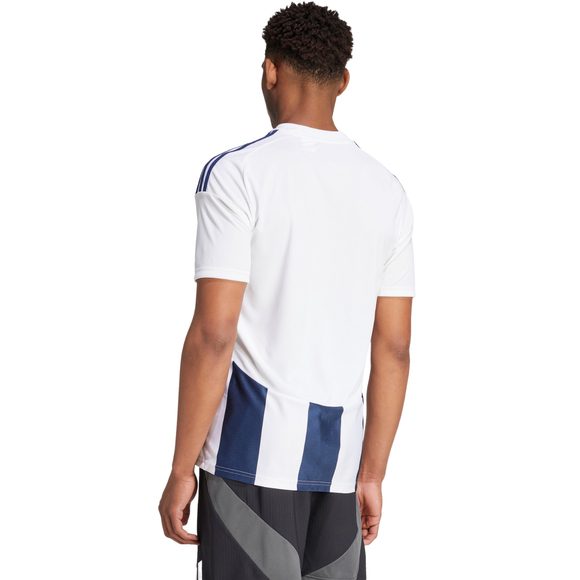 Koszulka męska adidas Striped 24 Jersey biało-niebieska IW4554