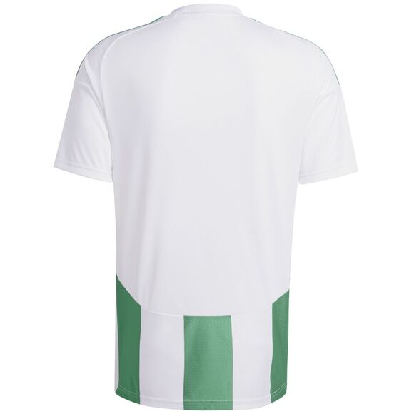 Koszulka męska adidas Striped 24 Jersey biało-zielona IW2148