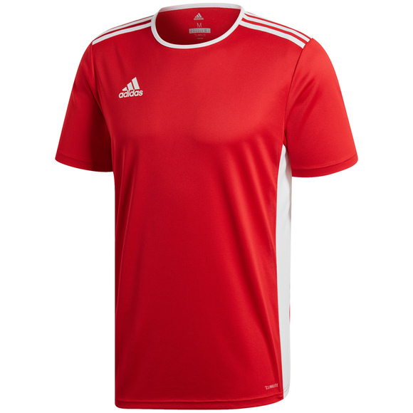 Koszulka męska adidas Entrada 18 Jersey czerwona CF1038