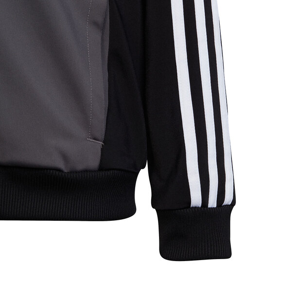 Spodenki męskie adidas Tiro 24 szare IS1408