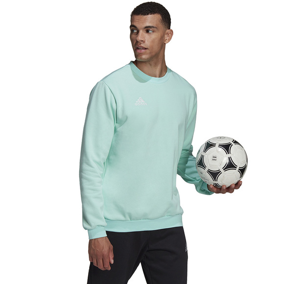 Bluza męska adidas Entrada 22 Sweat Top miętowa HC5047