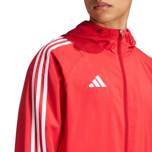 Spodenki męskie adidas Tiro 24 szare IS1408