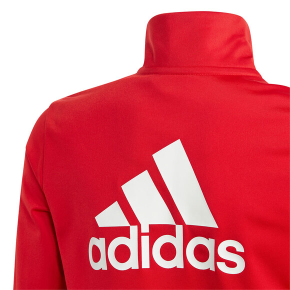 Spodenki męskie adidas Tiro 24 szare IS1408