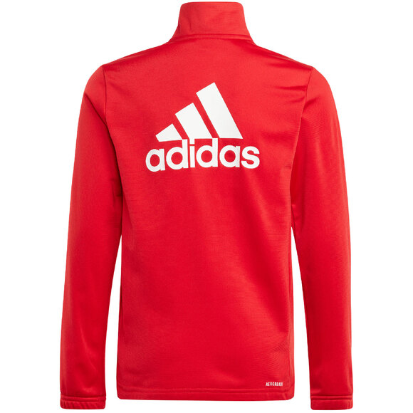 Spodenki męskie adidas Tiro 24 szare IS1408