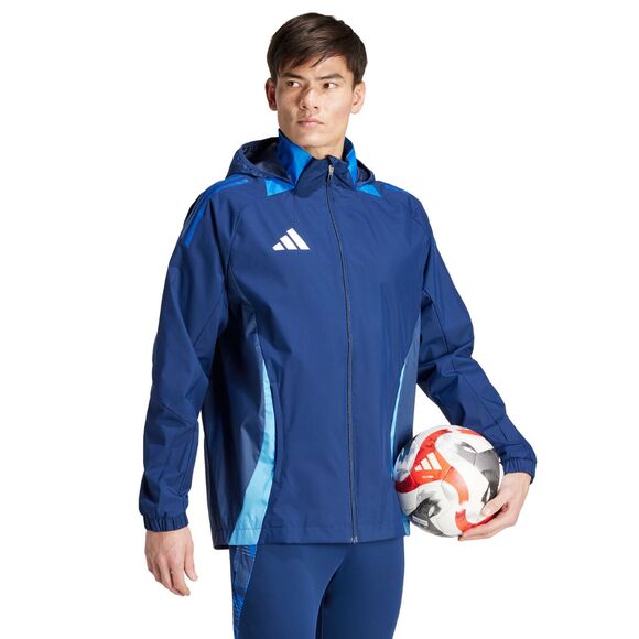 Spodenki męskie adidas Tiro 24 szare IS1408