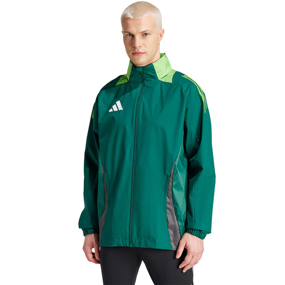 Spodenki męskie adidas Tiro 24 szare IS1408