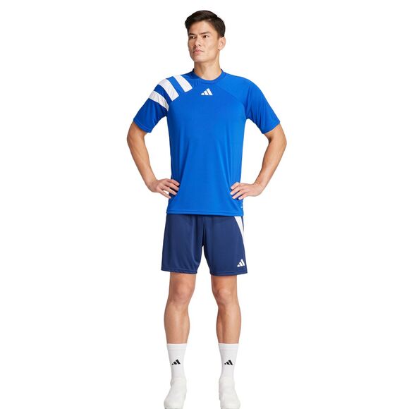 Spodenki męskie adidas Tiro 24 szare IS1408