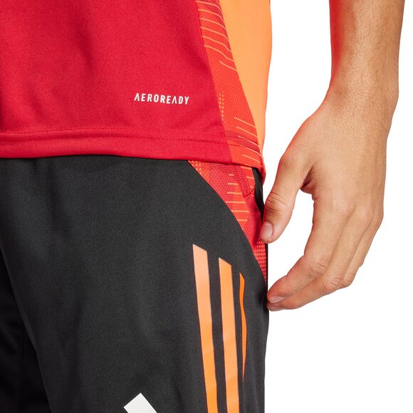 Spodenki męskie adidas Tiro 24 szare IS1408