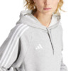 Spodenki męskie adidas Tiro 24 szare IS1408