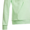 Bluza dla dzieci adidas Big Logo Essentials Cotton Hoodie jasnozielona IS2591