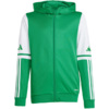 Bluza dla dzieci adidas Squadra 25 Hoody zielono-biała JP3163