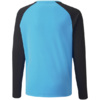 Bluza bramkarska dla dzieci Puma teamPACER GK LS Jersey niebieska 704939 40