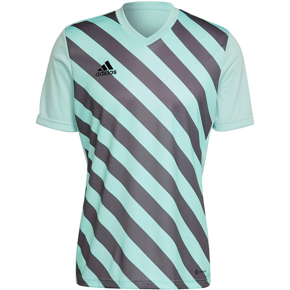 Koszulka męska adidas Entrada 22 Graphic Jersey miętowa HF0119