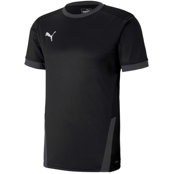 Koszulka męska Puma teamGOAL 23 Jersey czarna 704171 03